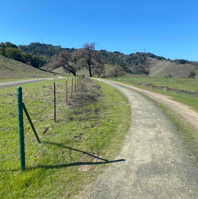 sararodriguez516 post 2