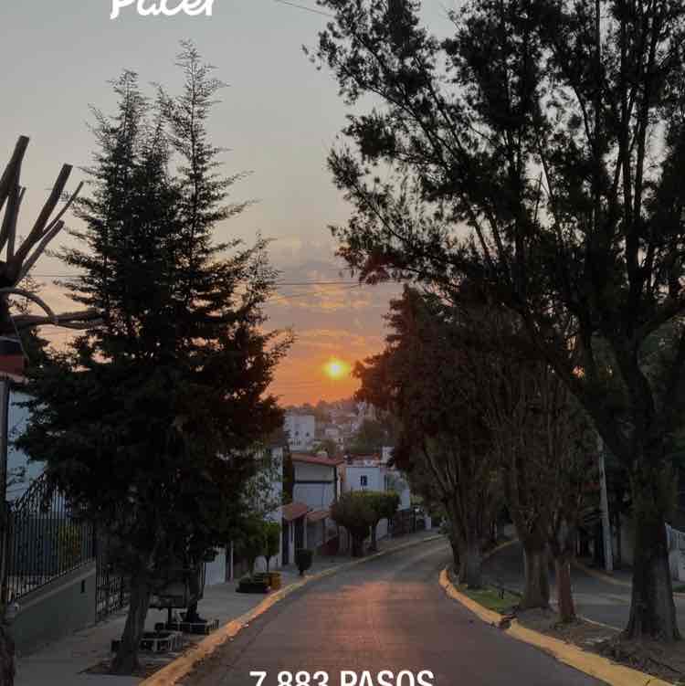 Carlos Jiménez post 1