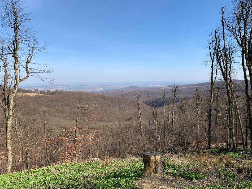 walking near me in Partizánska lúka in winter