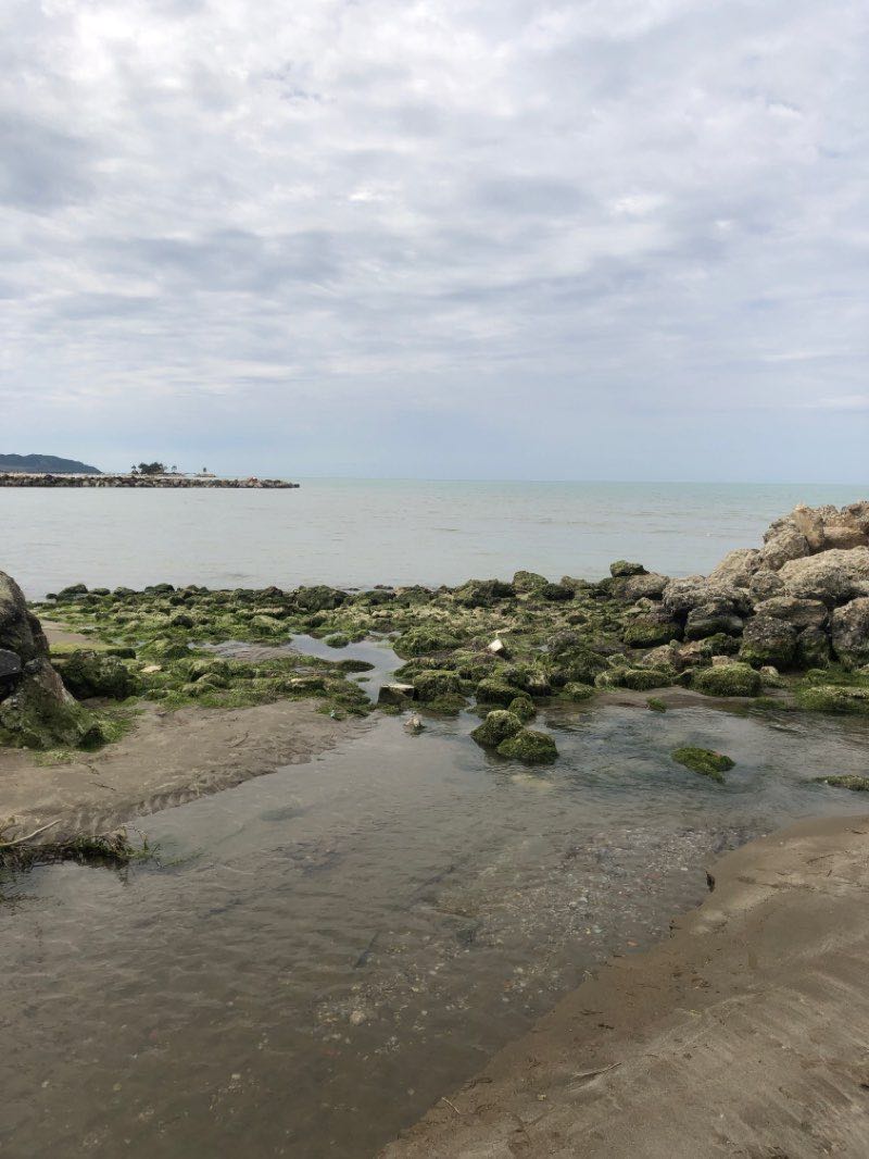 walking near me in Parku i Kavajës in winter