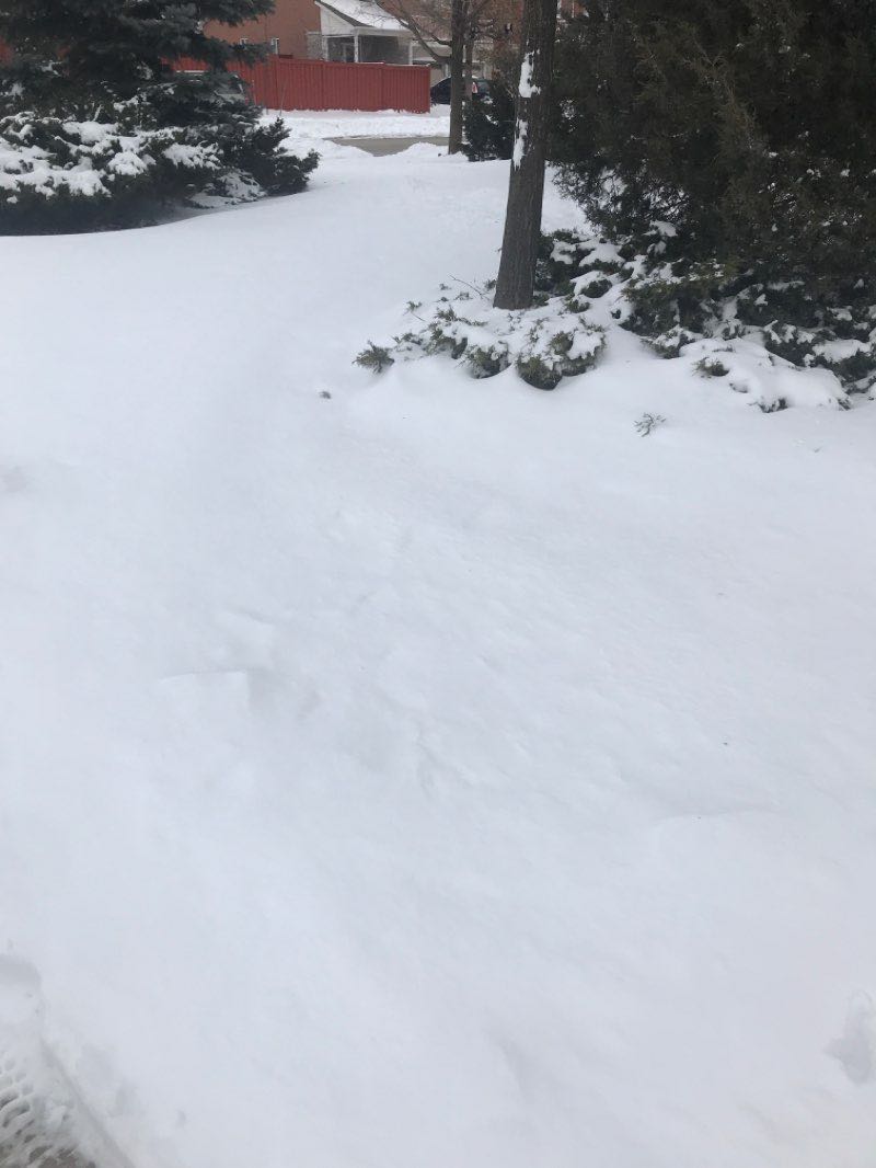 walking near me in Homestead Park in winter
