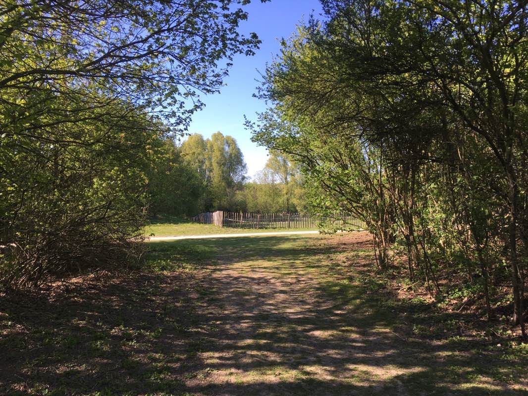 walking near me in Parc de la Bergère in winter