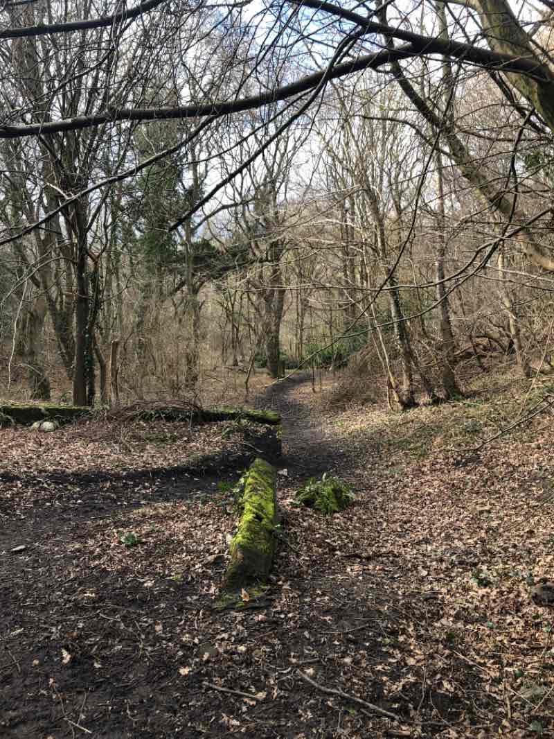 walking near me in Fulforth Jubilee Park in winter