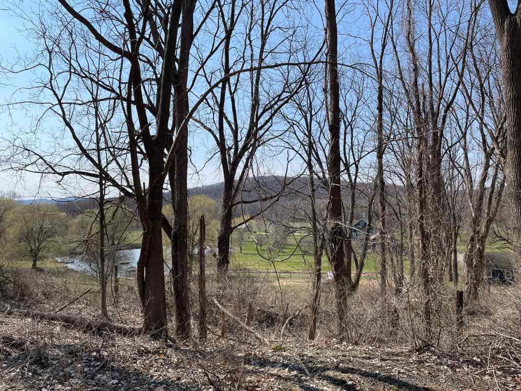 walking near me in Taconic State Park - Copake Falls Area in winter