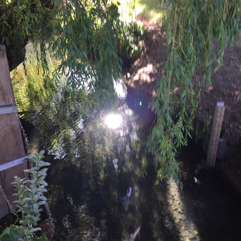 walking near me in Jellie Park in summer