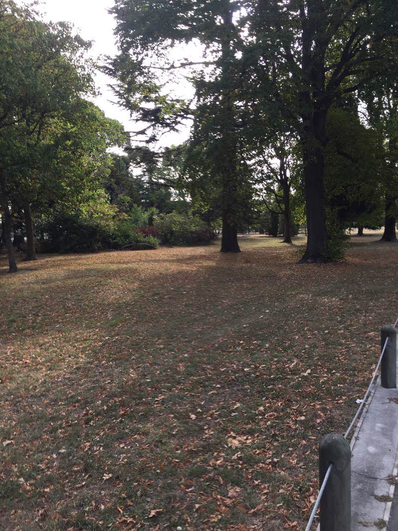 walking near me in Burnside Park in summer