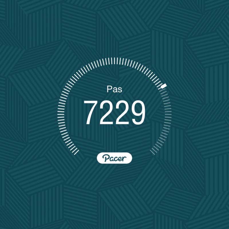 zimmermannfanny post 1