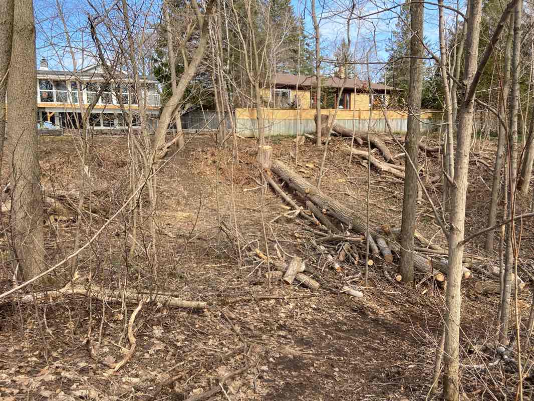 walking near me in Sunnidale Park in winter