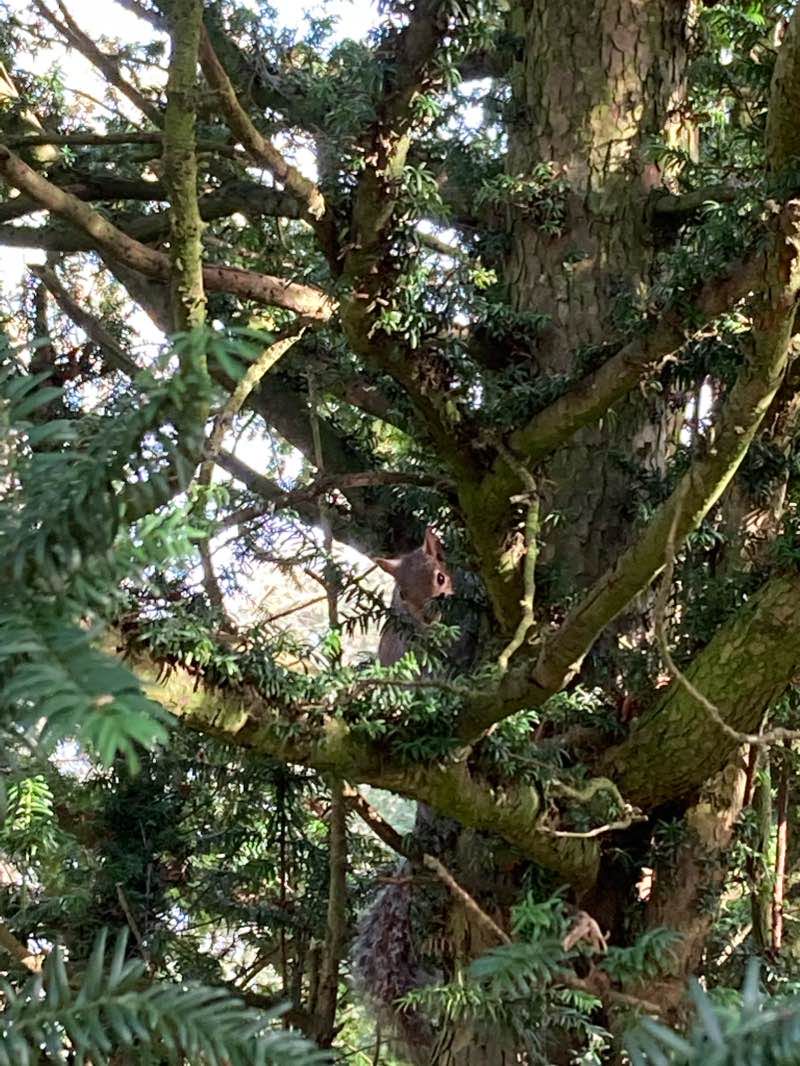 walking near me in Barnes Park in winter