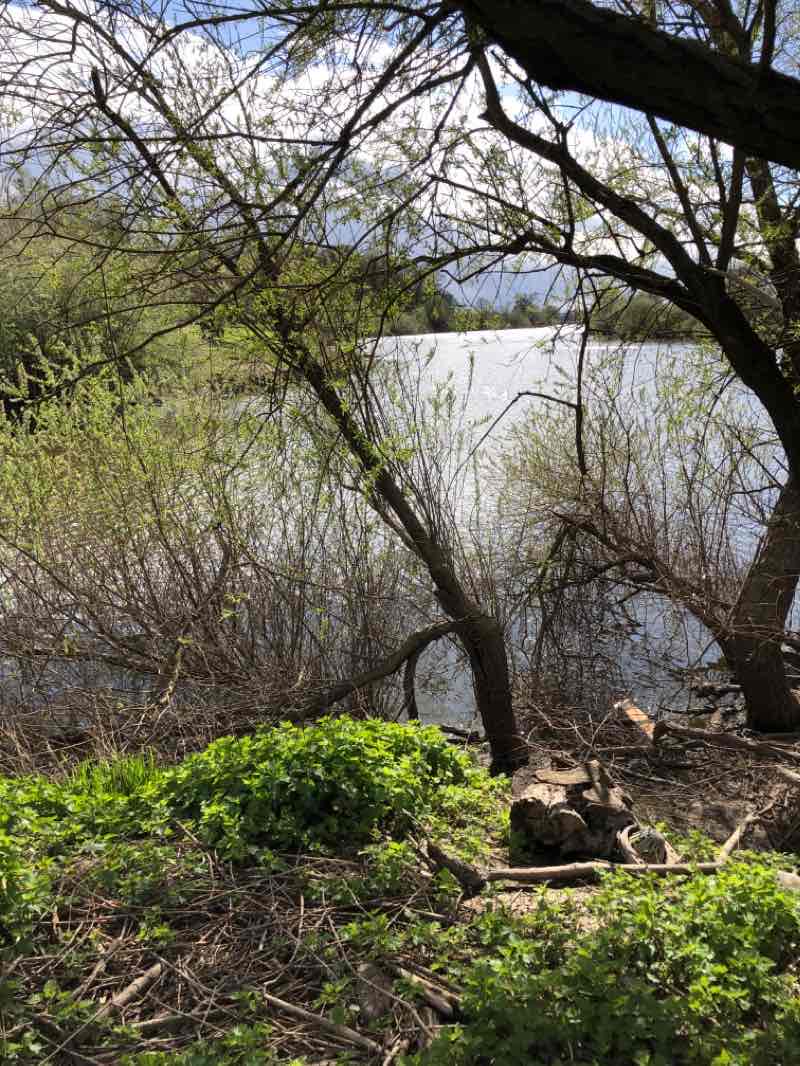 walking near me in Abbey Grounds in winter