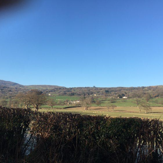 stenhouselaura post 2