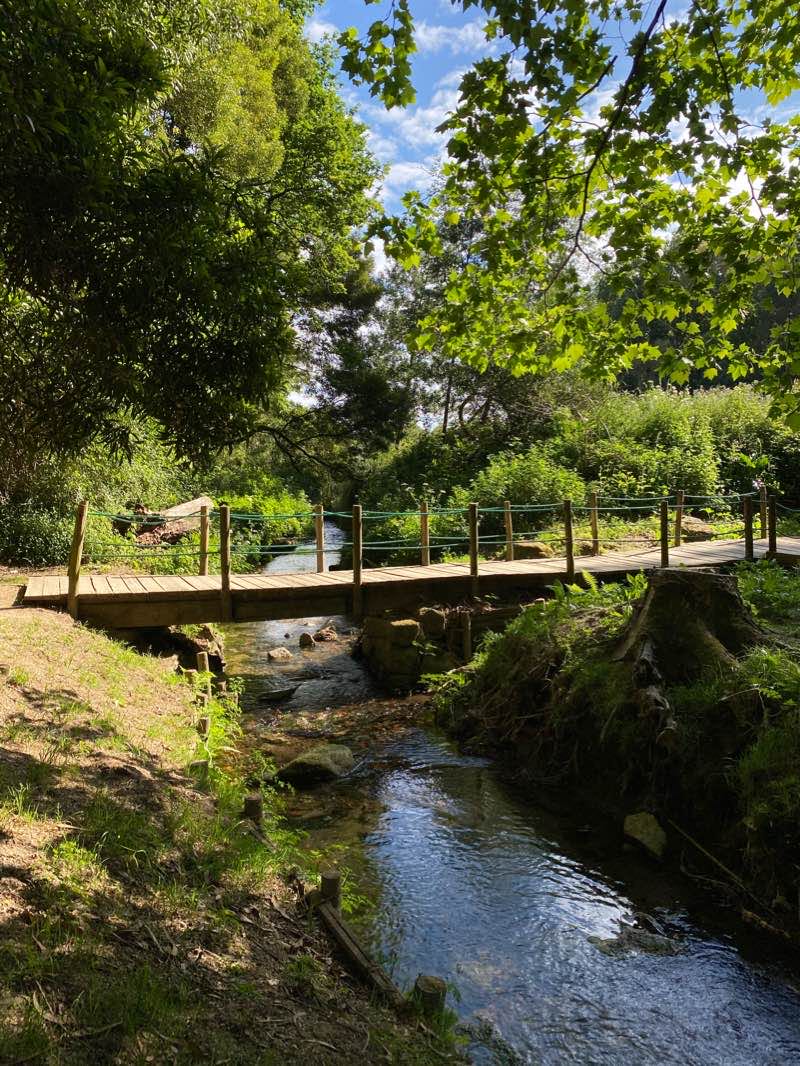walking near me in Parque São Caetano in winter