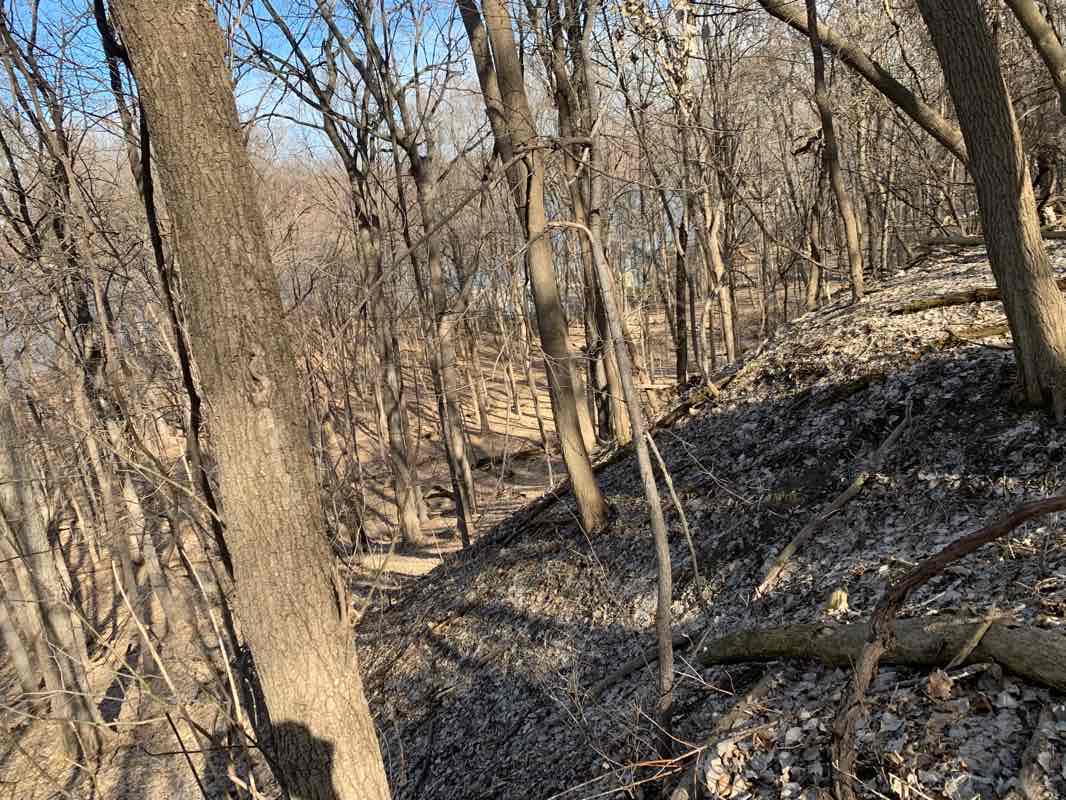 walking near me in Lake Minnetonka Regional Park in winter