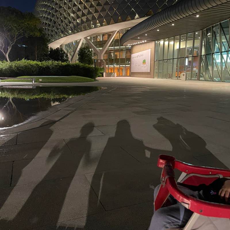 [Auriga] Dian Farhana Zulkifli post 2