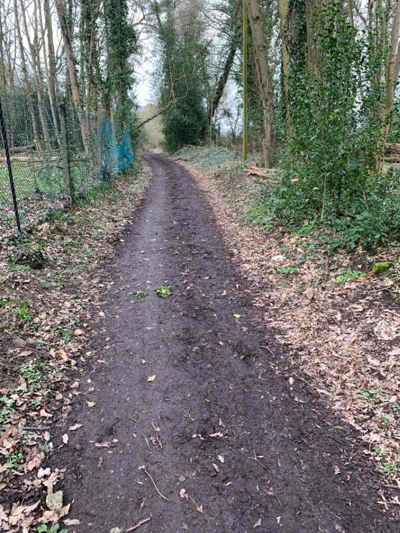 walking near me in Gold Hill Common in winter
