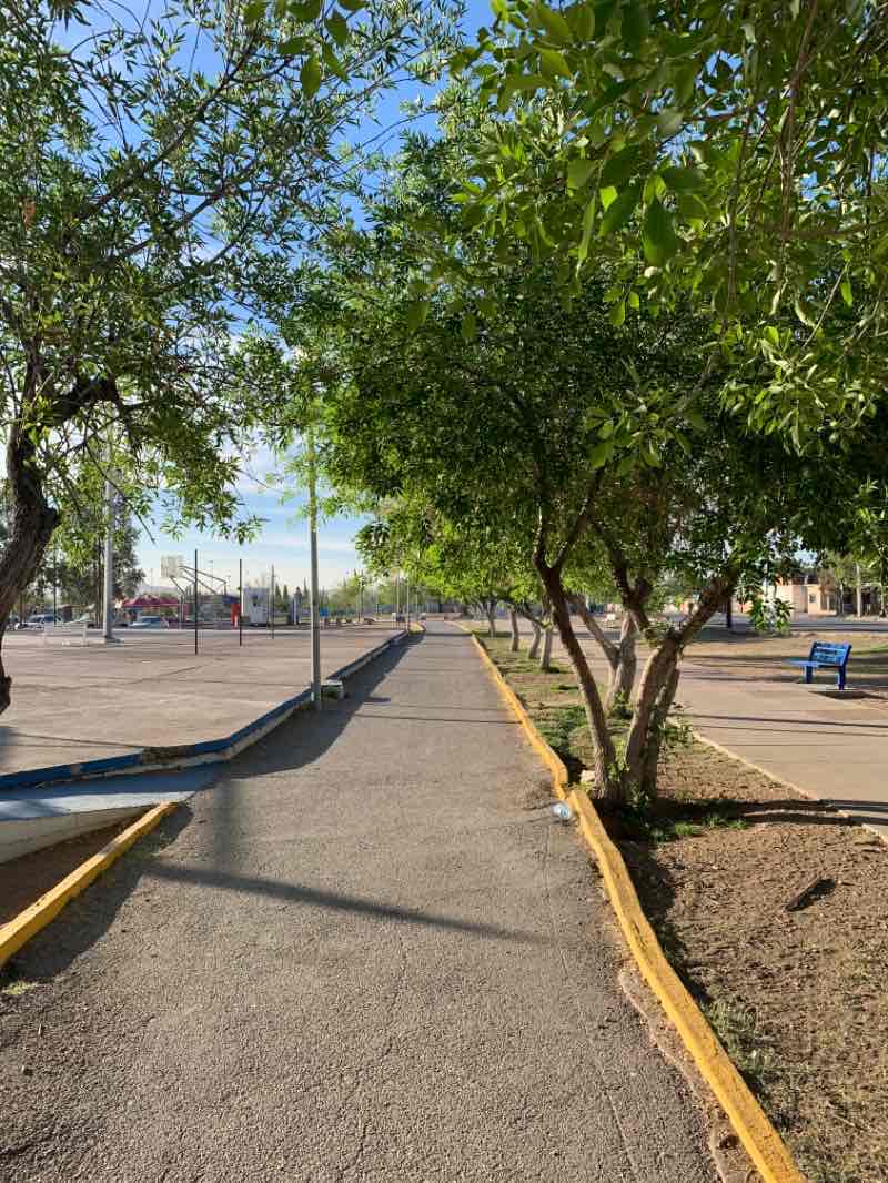 walking near me in Parque Huerta Legarreta in winter