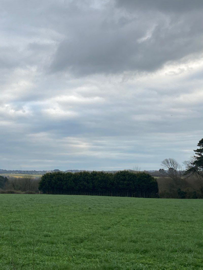 walking near me in Camborne Park in winter