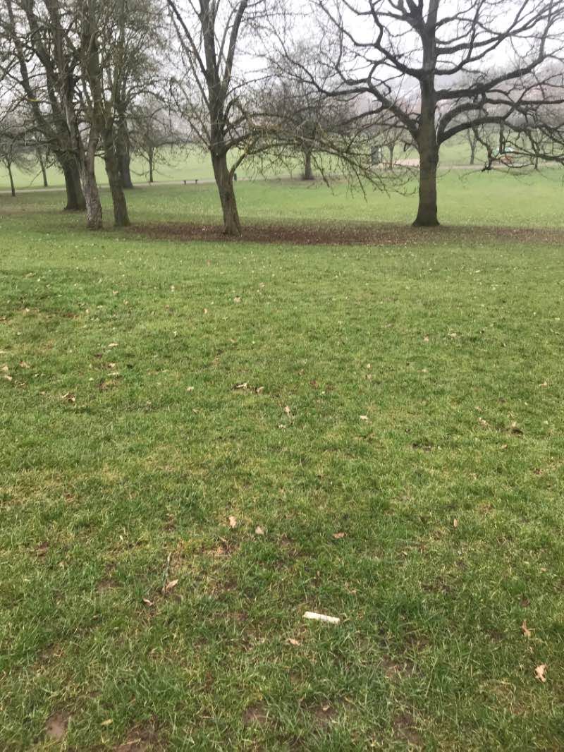 walking near me in Rykneld Rec in winter