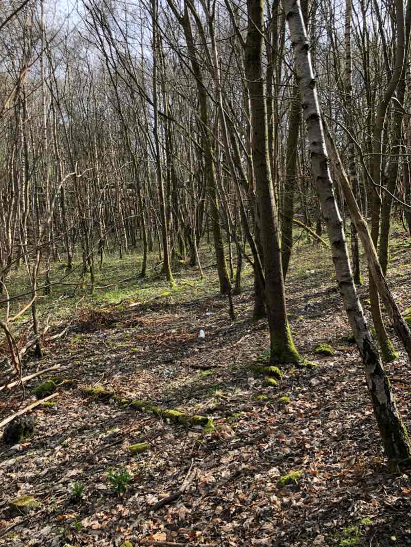 walking near me in Bishopbriggs Town Centre Public Park in winter