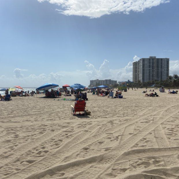 🌹👑✨Georgia Jay🍑💐🌺 post 3