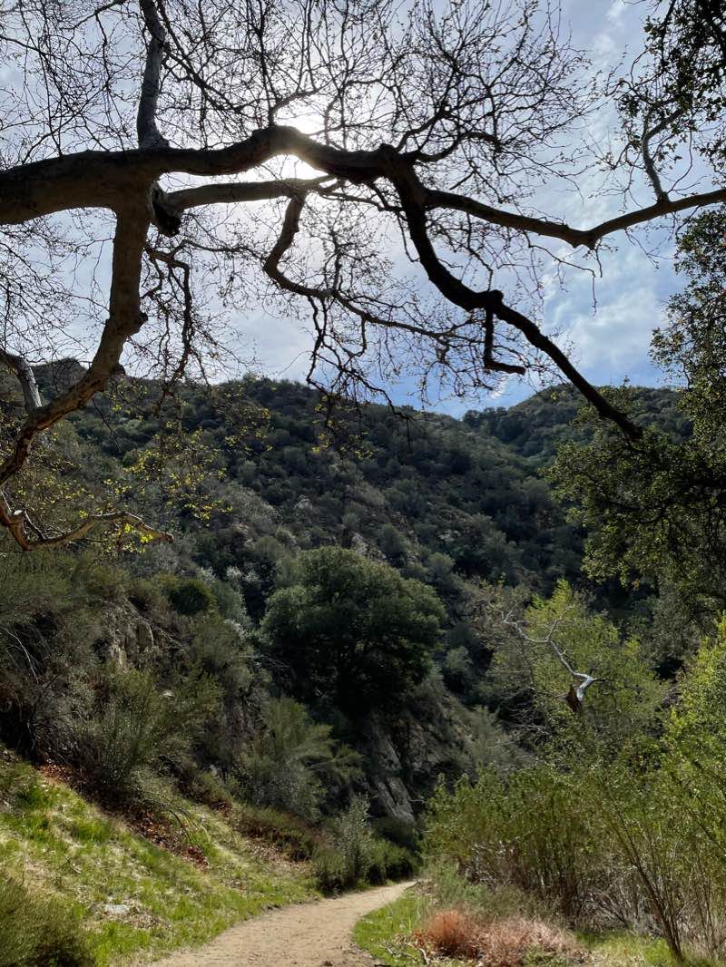 walking near me in Placerita Canyon State Park in winter
