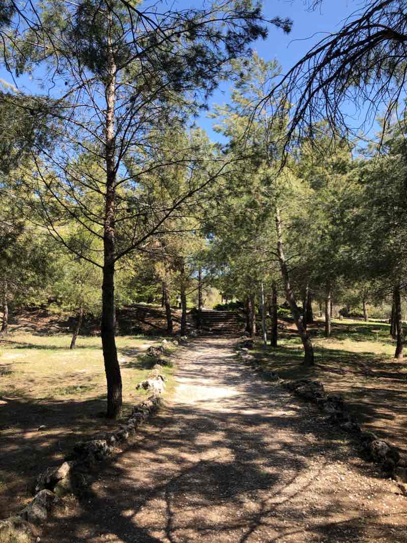 walking near me in Parque de Bellavista in winter