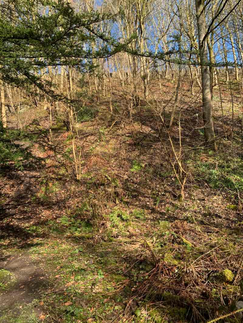 walking near me in Riverside Park in winter