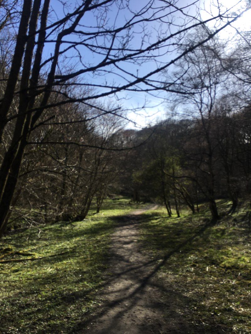 walking near me in Tanfield Lea Marsh Local Nature Reserve in winter