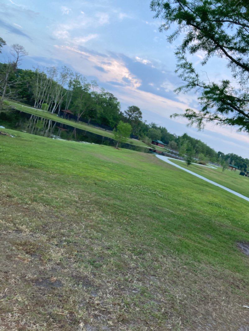 walking near me in Barnett Park in winter