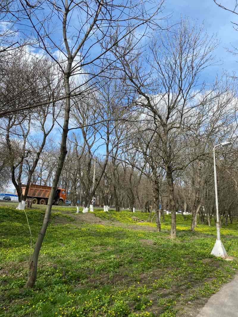 walking near me in Площадь Ленина in winter