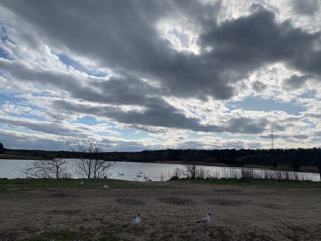 walking near me in Queen Elizabeth II Country Park in winter