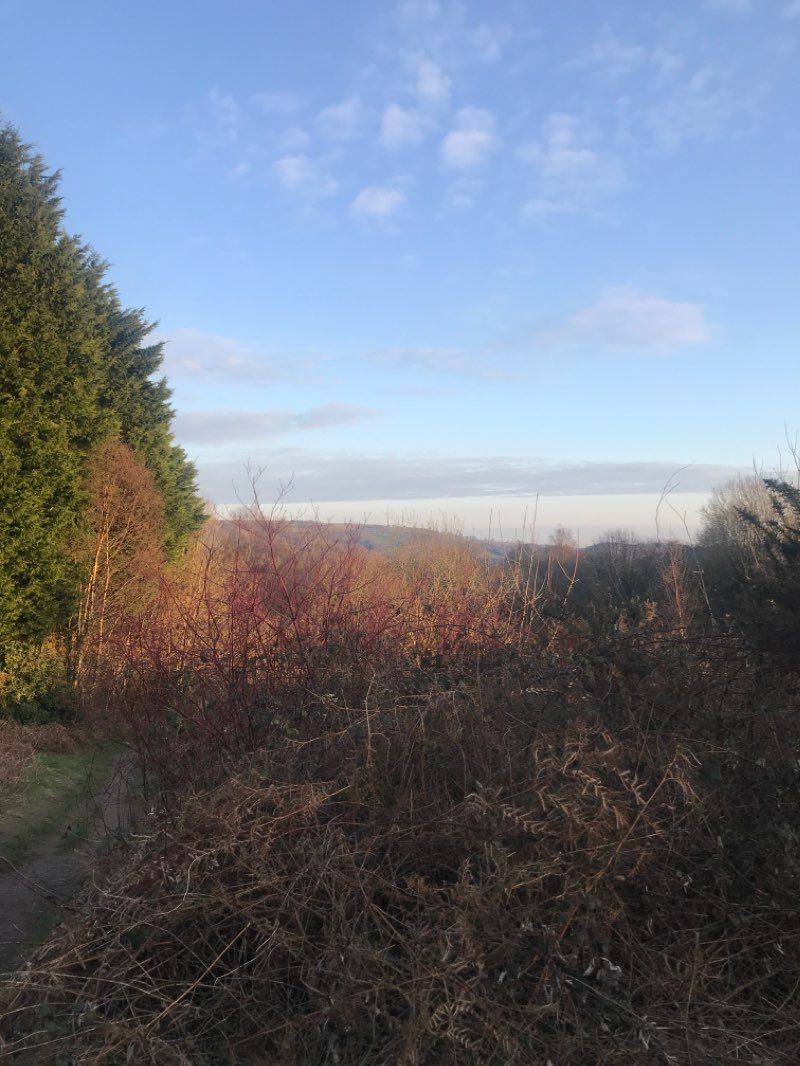 walking near me in Parc Penallta in winter