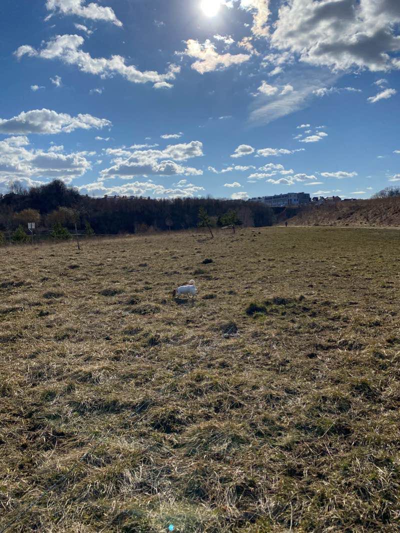 walking near me in Park Oruński im. Emilii Hoene in winter