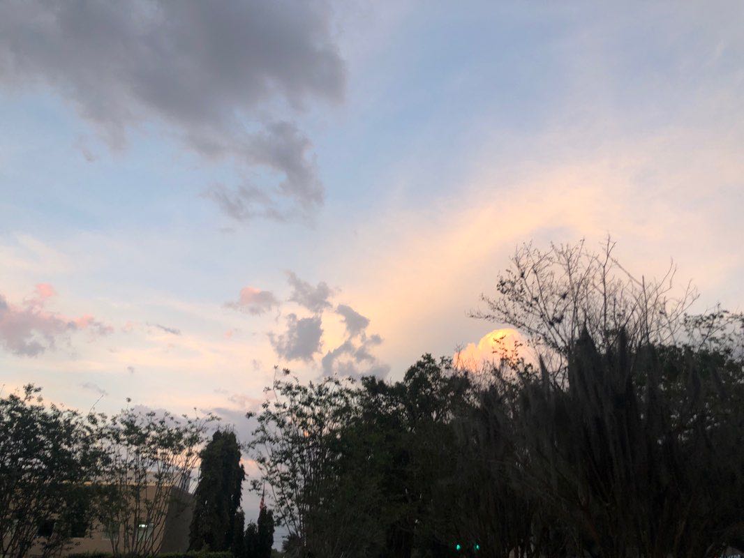 walking near me in Lake Eola Park in winter