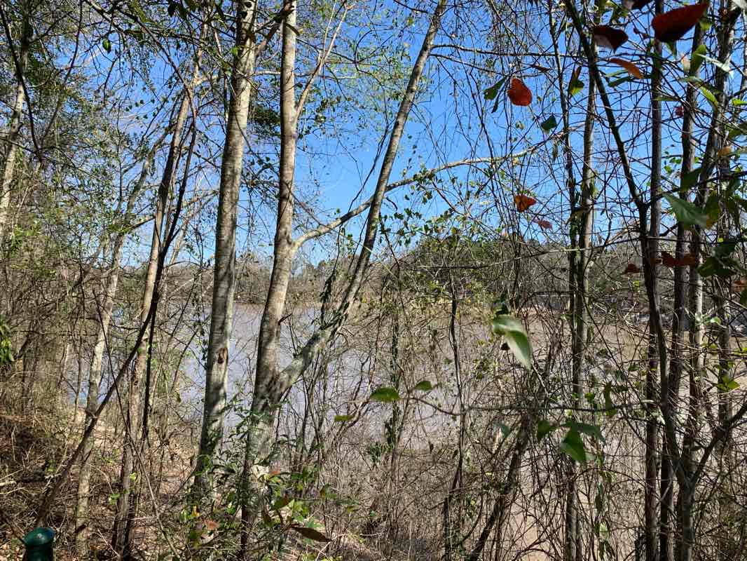 walking near me in Chain Park in winter