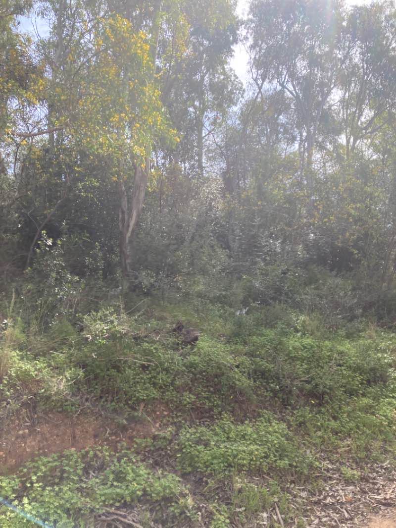 walking near me in متنزه سيدي بوسعيد in winter