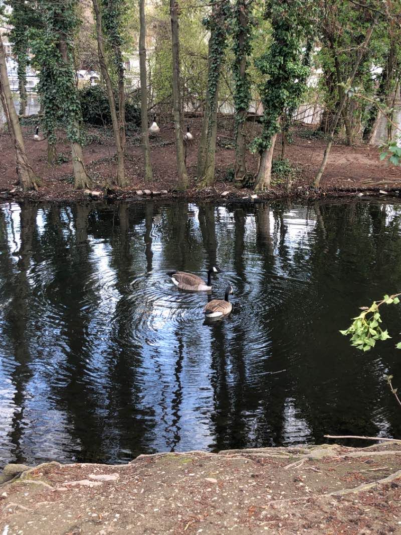 walking near me in Hiroshima-Nagasaki-Park in winter