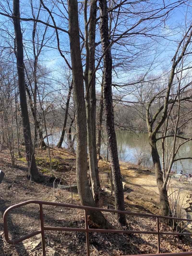 walking near me in Lippold Park in winter