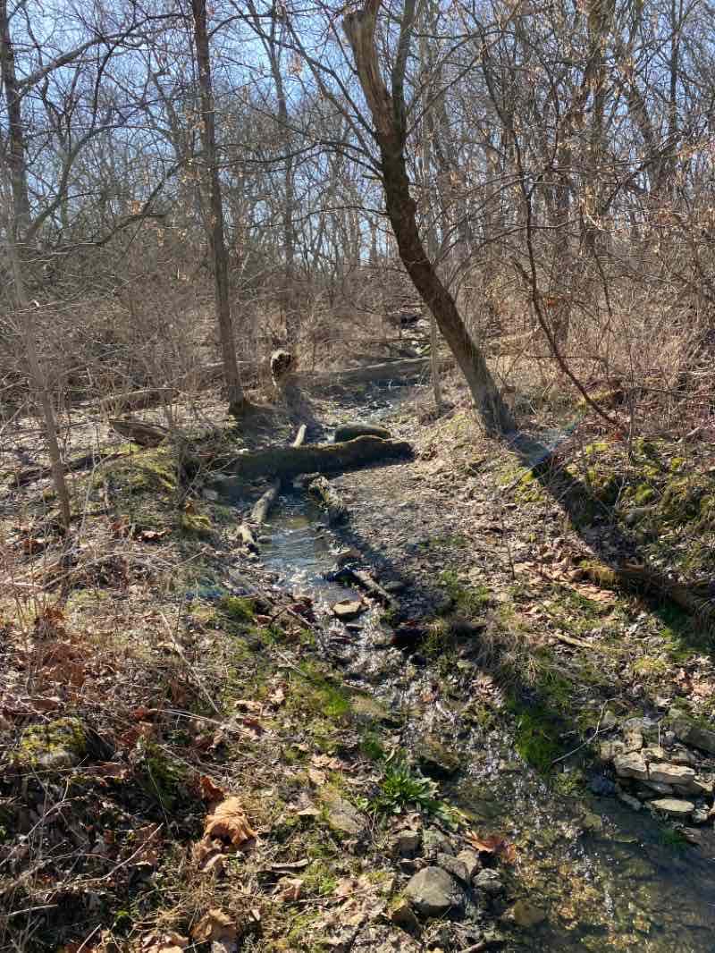 walking near me in Prairie Path Park in winter