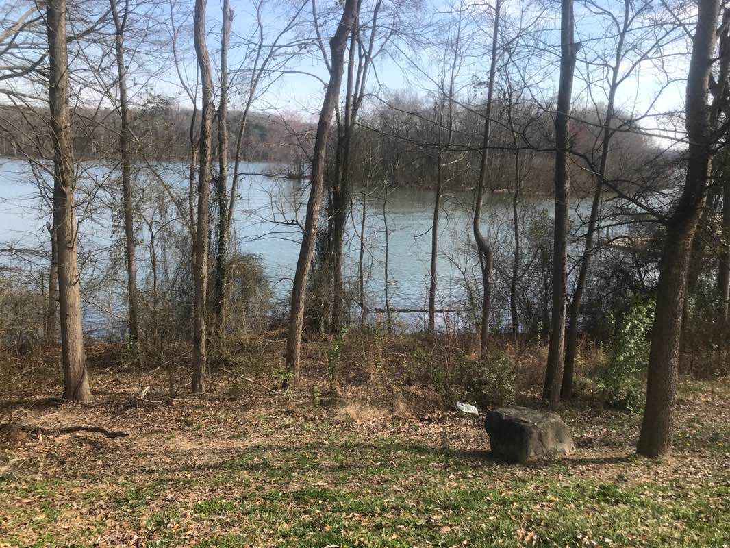 walking near me in Crescent Park in winter