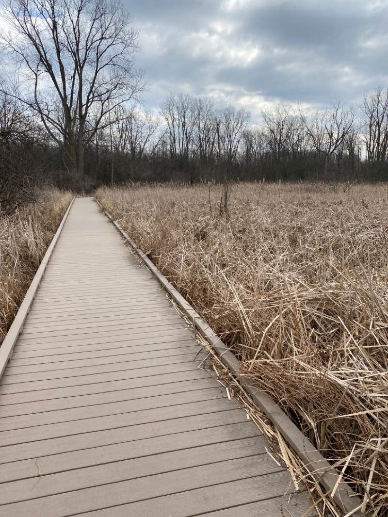 walking near me in Huff Park in winter