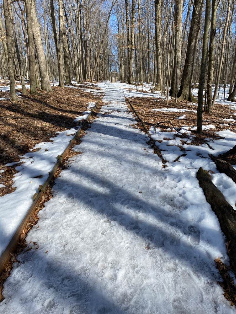 walking near me in Calvin University Ecosystem Preserve in winter