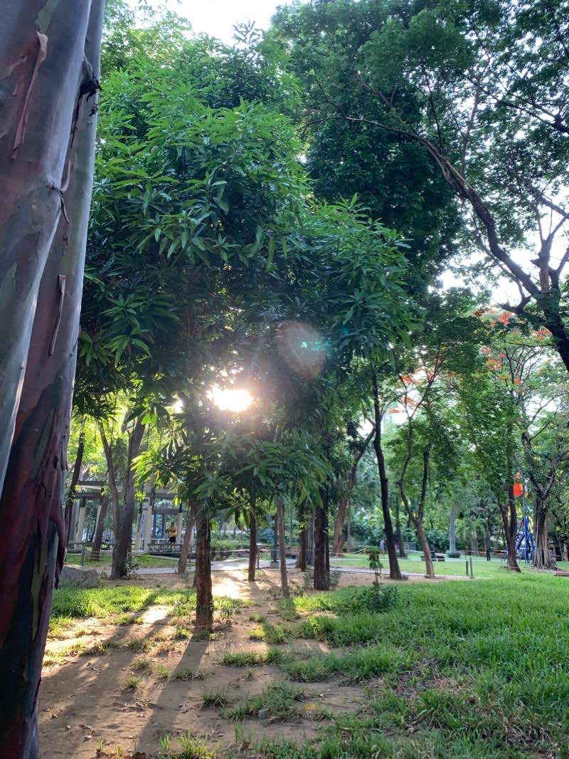 walking near me in Legazpi Active Park in winter