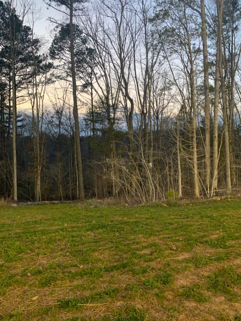 walking near me in Field Day Park in winter