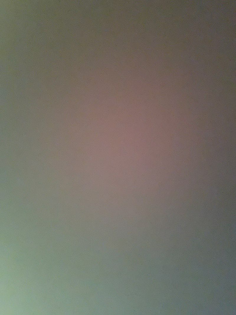 walking near me in Ecological Park in winter