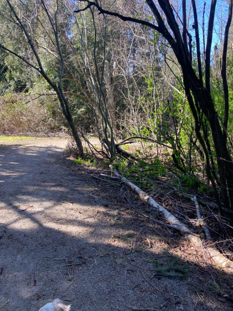 walking near me in Ellwood Park in winter