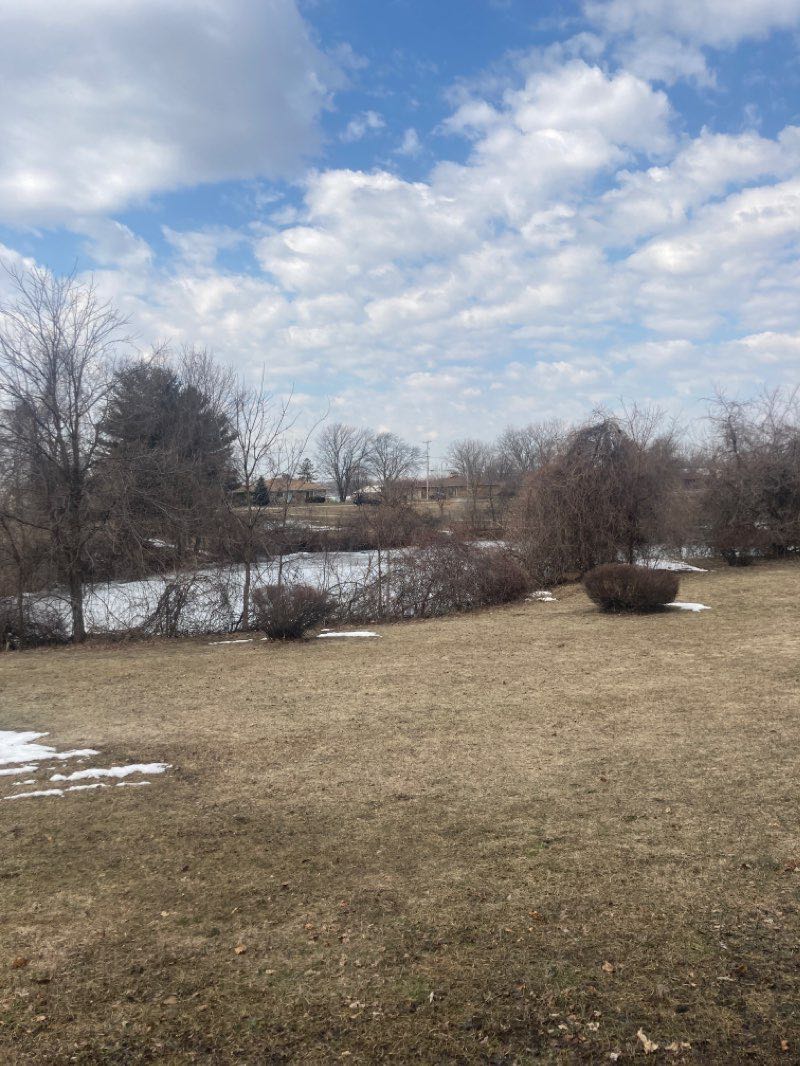walking near me in Lamar Park in winter