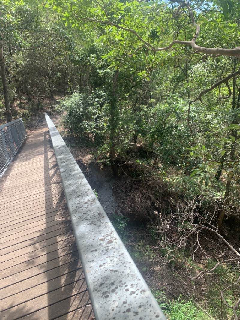 walking near me in Toohey Forest Conservation Park in summer