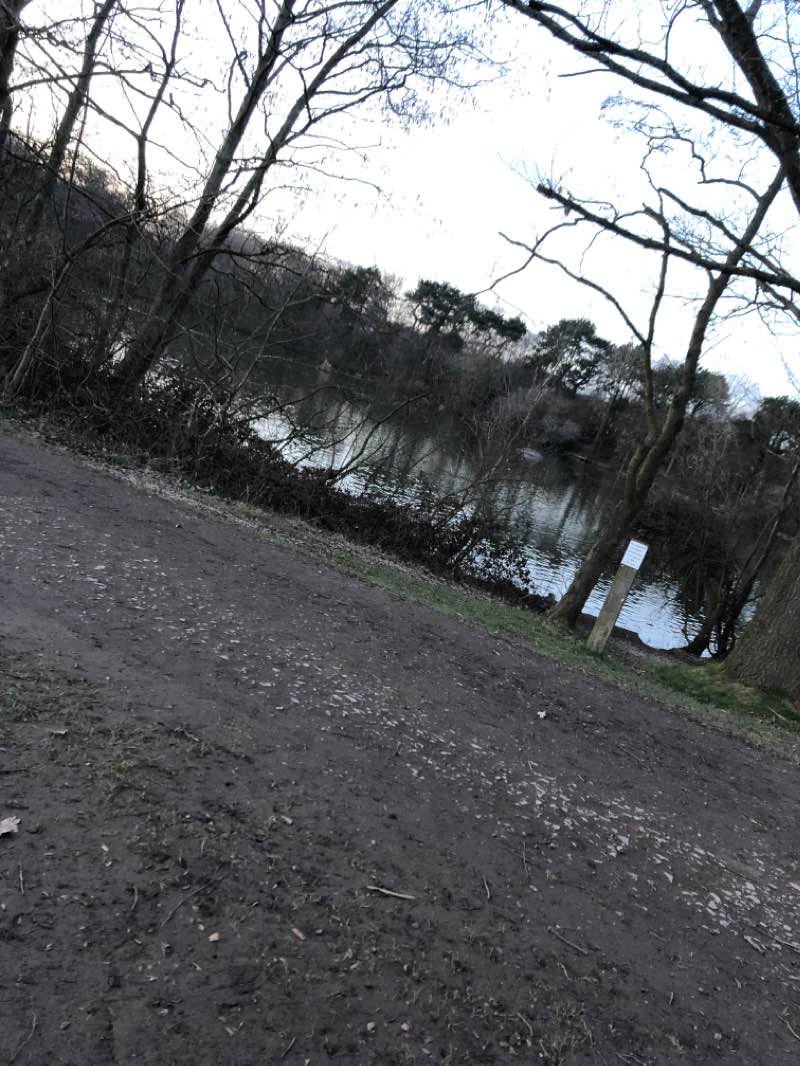 walking near me in Shipley Country Park in winter