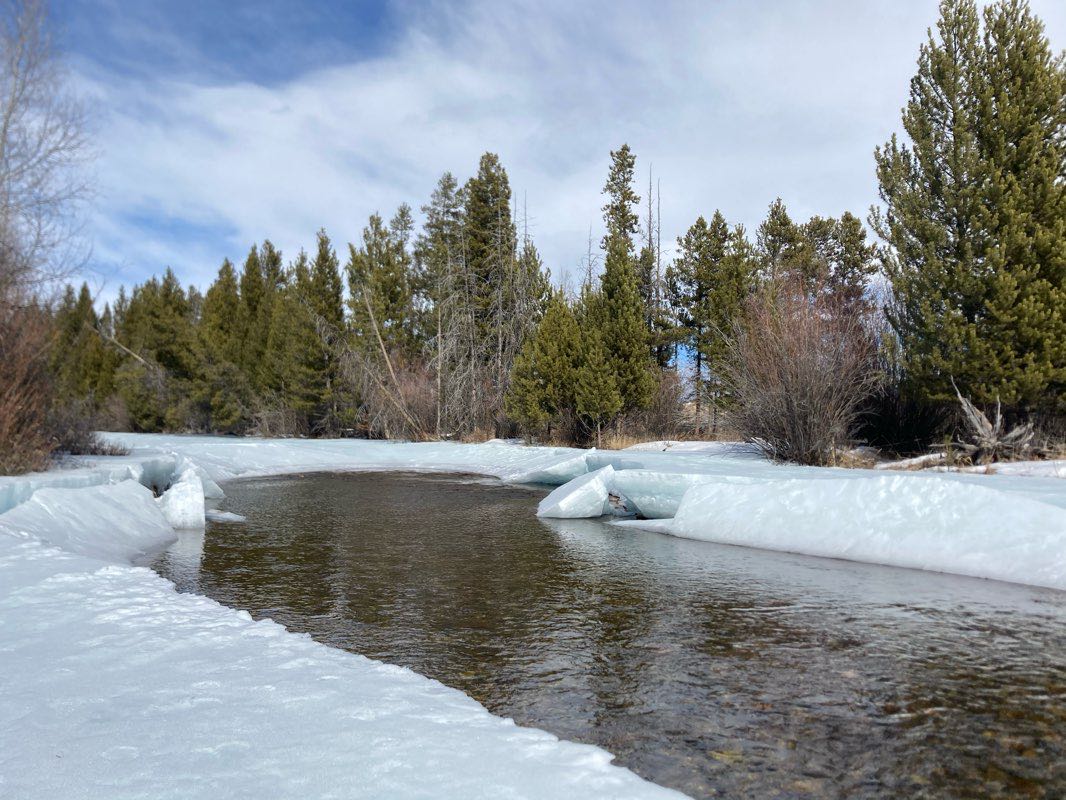 walking near me in American Legion Park in winter